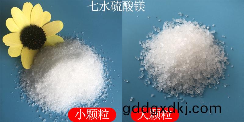 1723186959188007.jpg 未标题-1.jpg